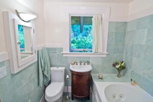 ANDY FRASHESKI BATHROOM REMODEL