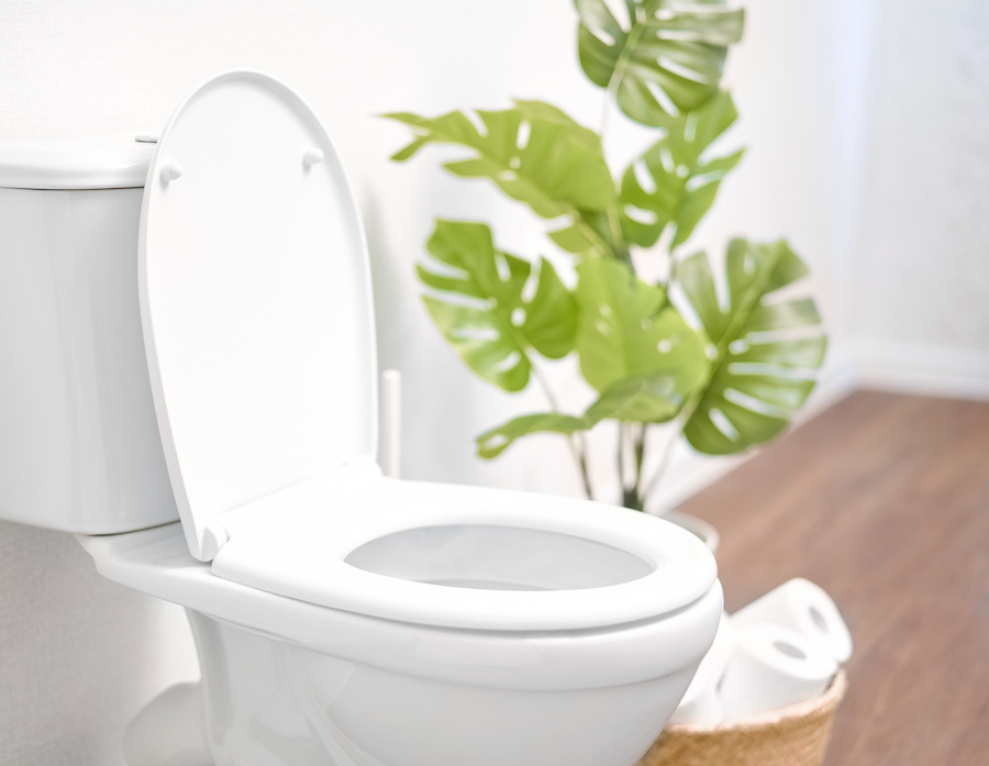 how to choose the right toilet for your bathroom.