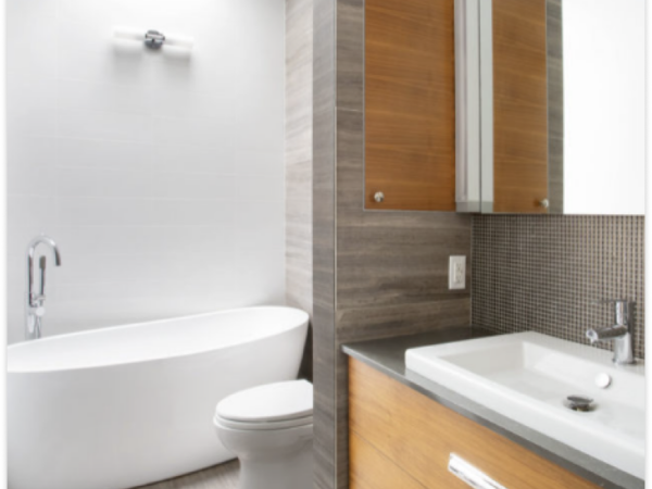 Guest bathroom