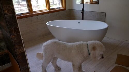Freestanding Bathtub BW-01-XXL photo review