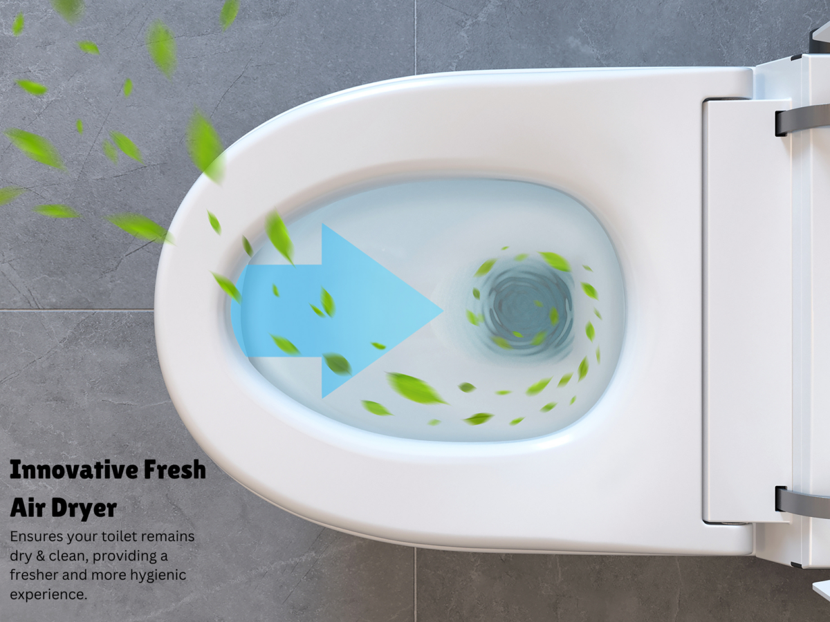 Smart Toilet - ST-01