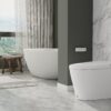 Smart Toilet - ST-01