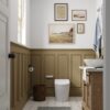 Smart Toilet - ST-01