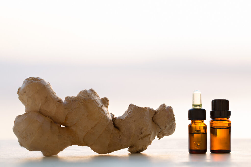 Fresh ginger root beside small amber essential oil bottles with dropper, natural herbal extract and aromatherapy concept on light background