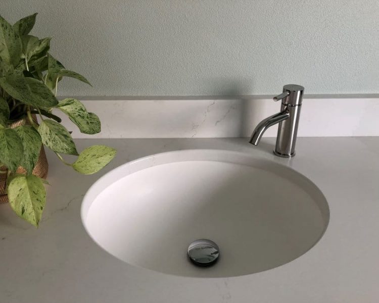 SINK AND FAUCET W_PLANT